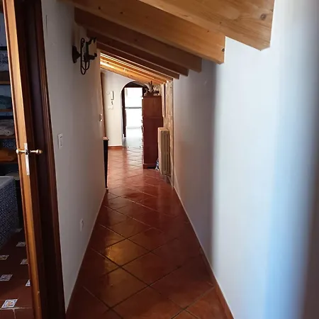 El Tejado De La Catedral